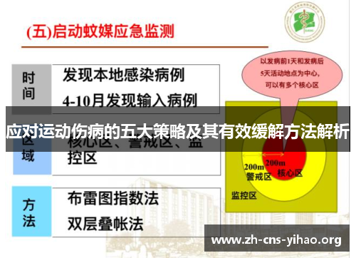应对运动伤病的五大策略及其有效缓解方法解析