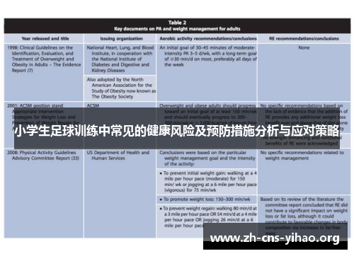 小学生足球训练中常见的健康风险及预防措施分析与应对策略
