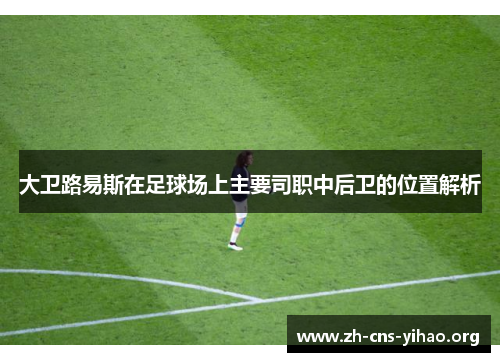 大卫路易斯在足球场上主要司职中后卫的位置解析