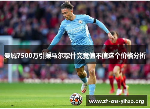 曼城7500万引援马尔穆什究竟值不值这个价格分析